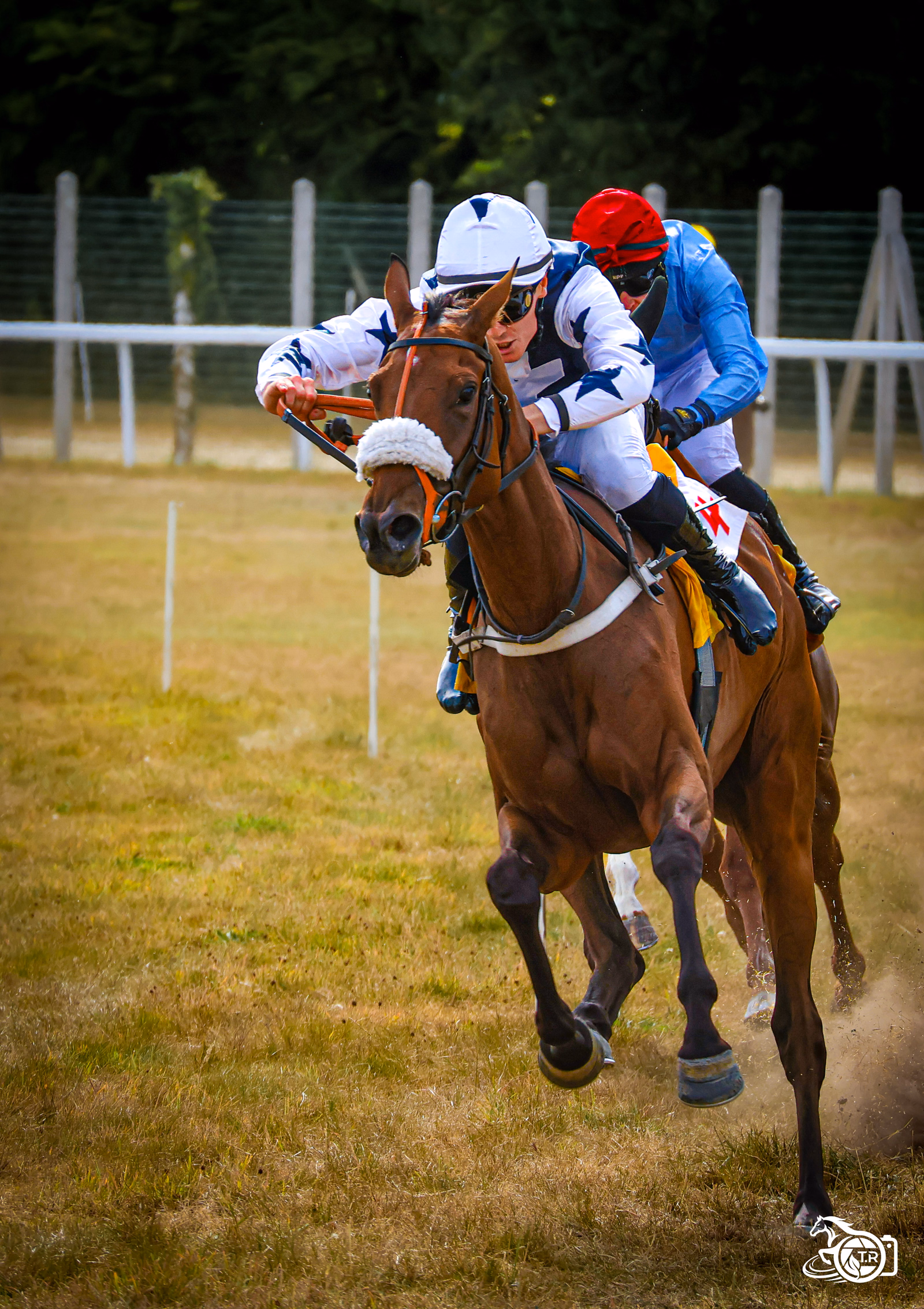 Photographie de l'album 1 dinan 2 3 08 2026
