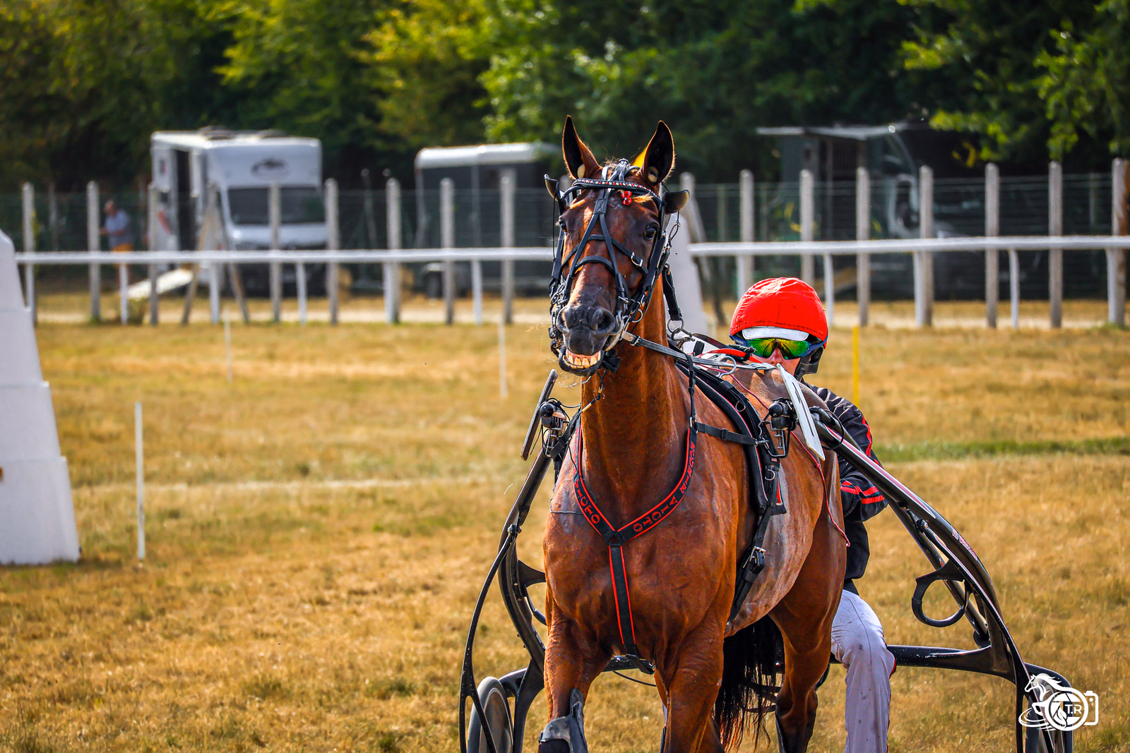 Photographie de l'album dinan 2 3 08 2026