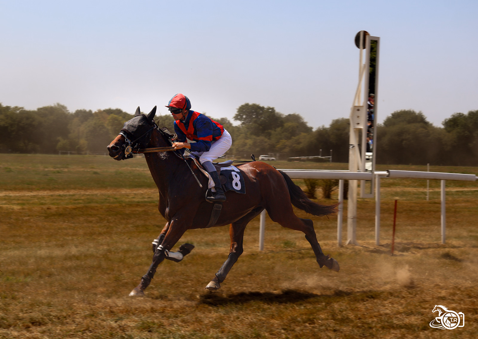 Photographie de l'album dinan 2 3 08 2026