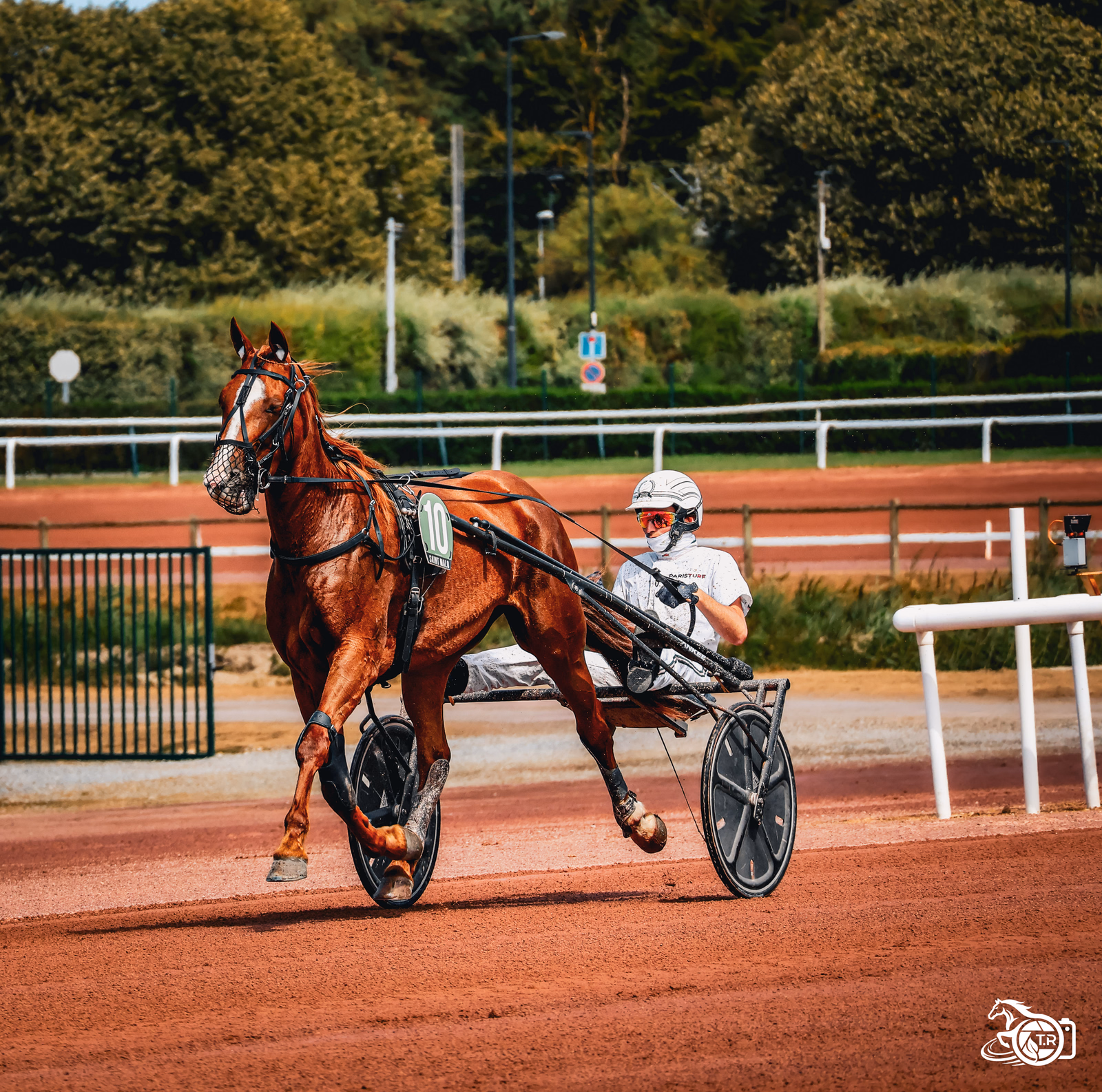 Photographie de l'album st malo 05 08 2026