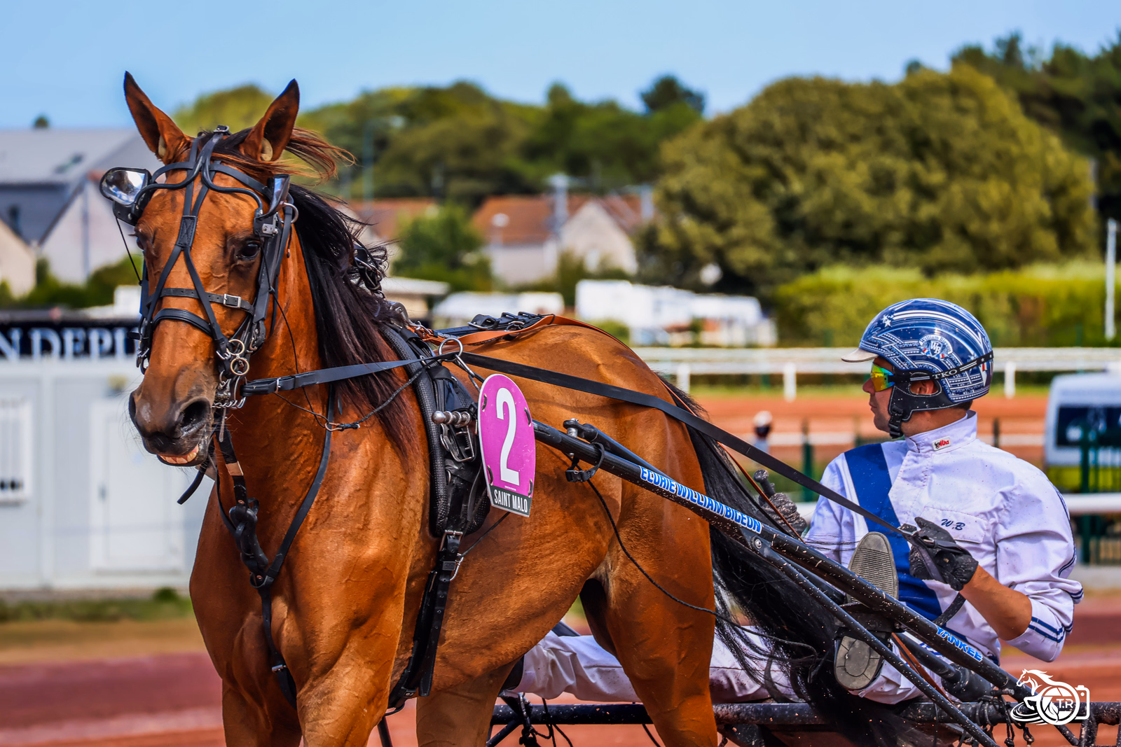 Photographie de l'album 2 st malo 05 08 2026