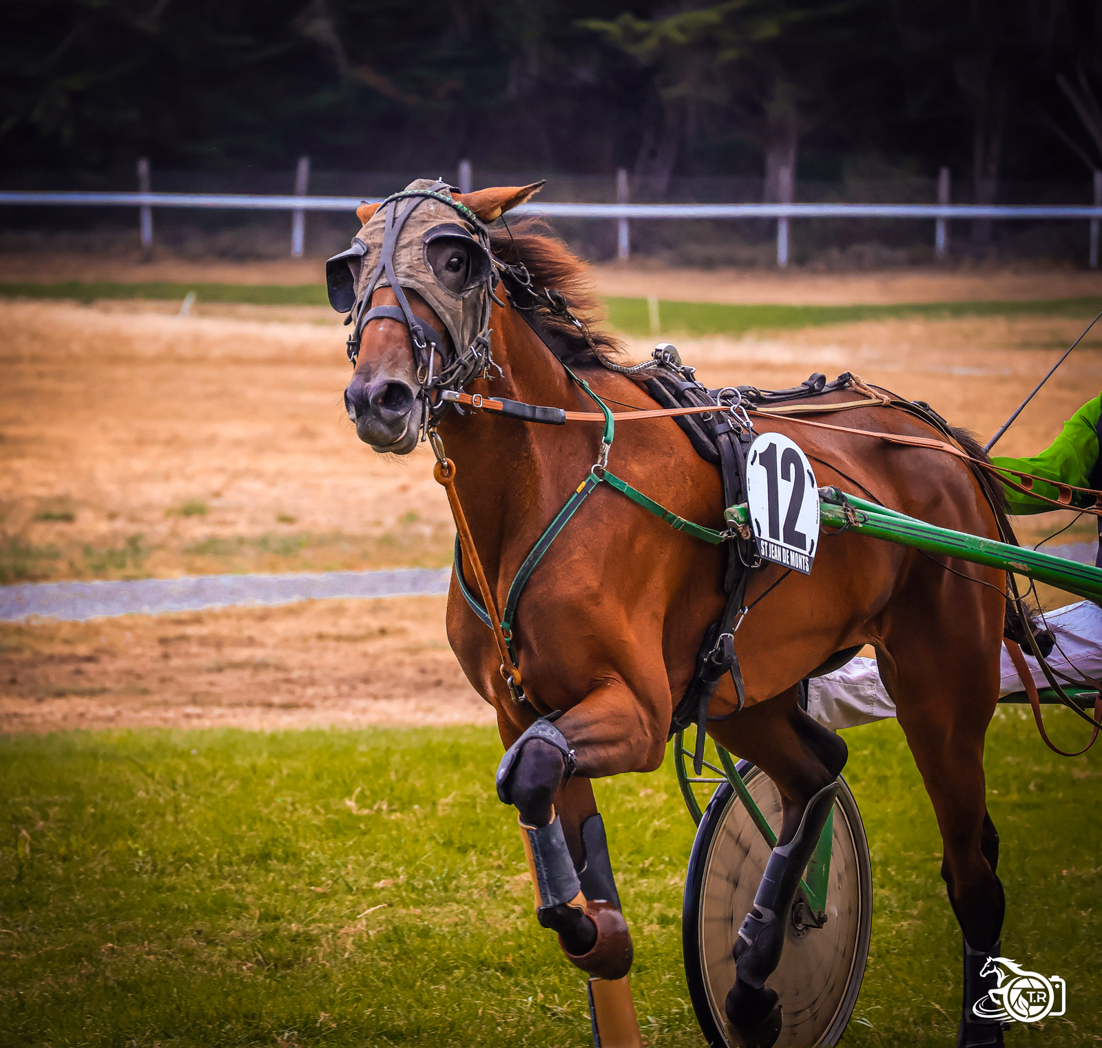 Photographie de l'album 3 st jean de monts 09 08 2026