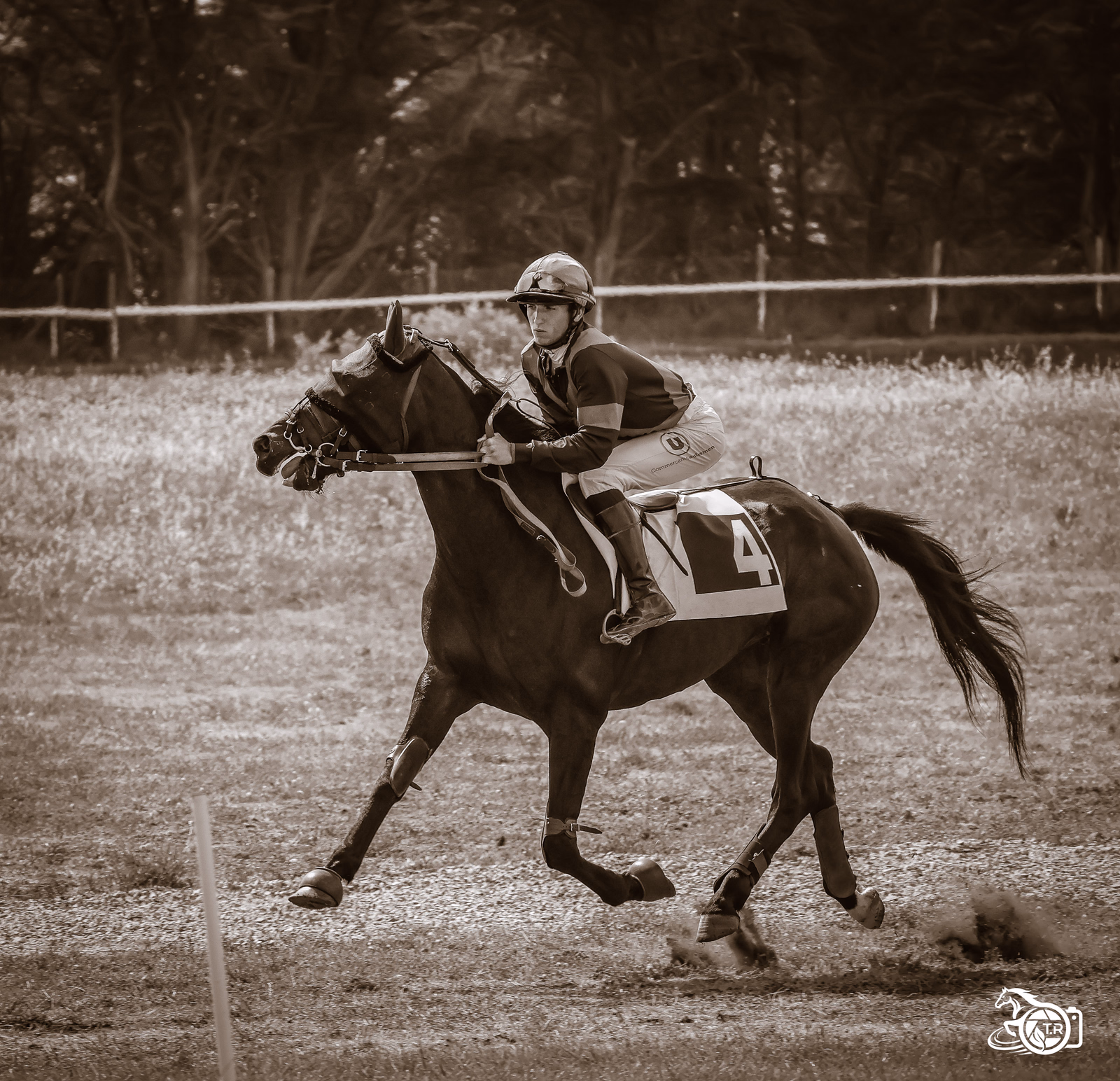 Photographie de l'album 3 st jean de monts 09 08 2026